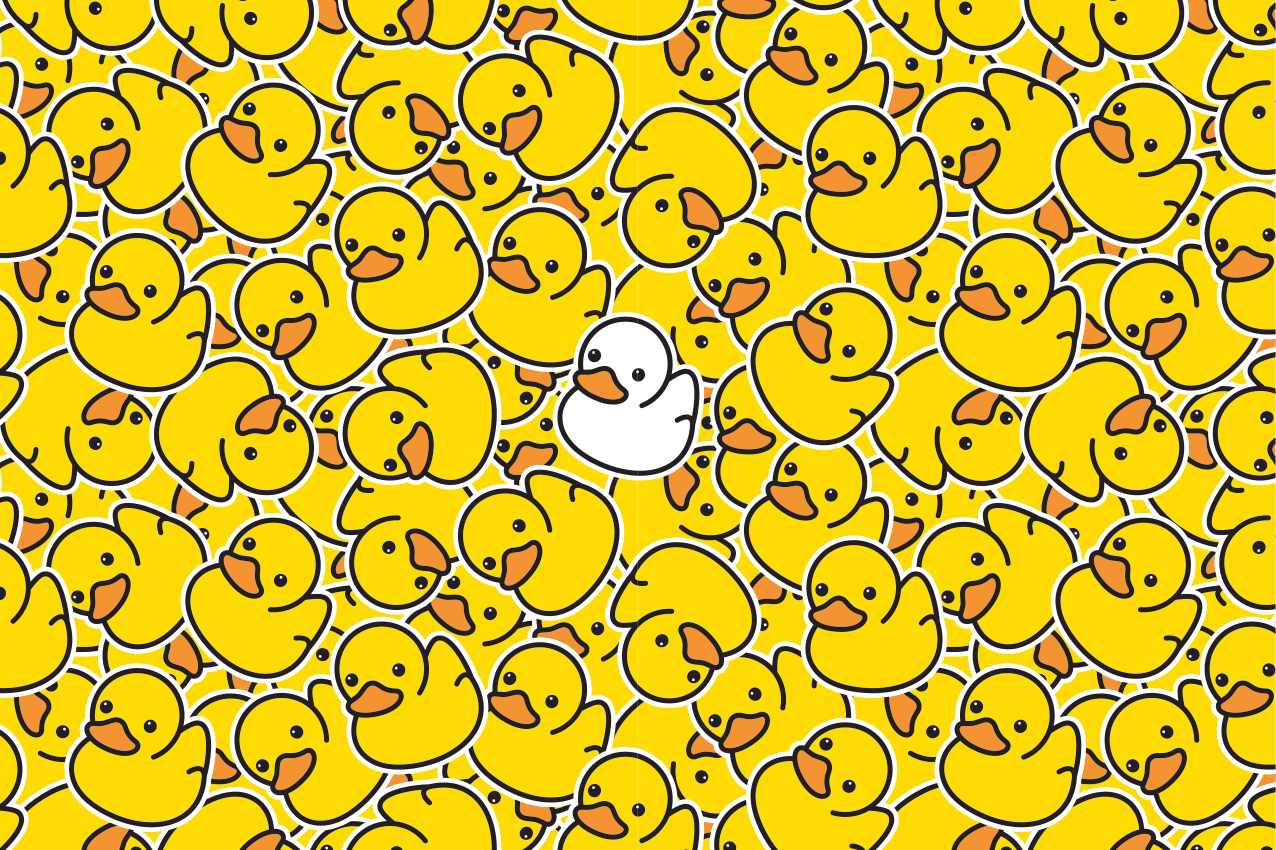 Different cute white duck modern placemats - TenStickers