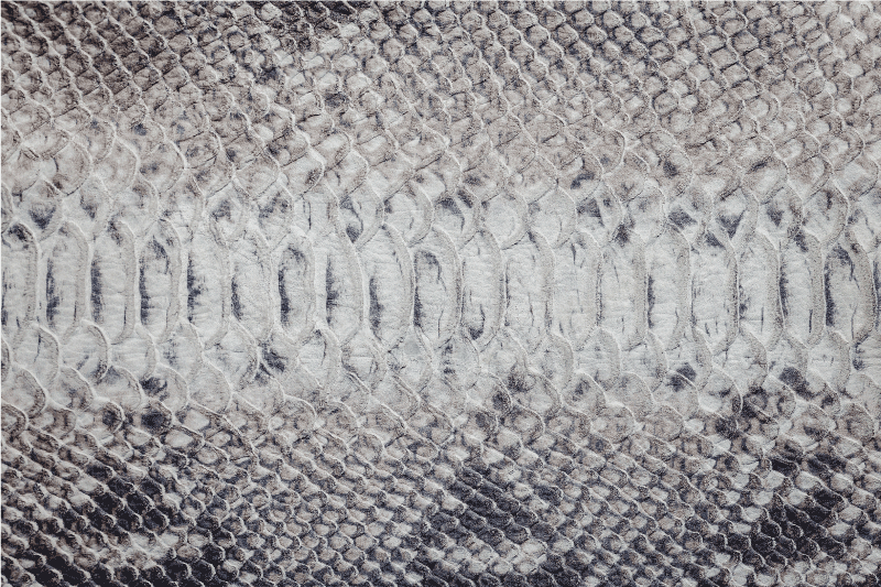 Textured placemats snake skin design - TenStickers