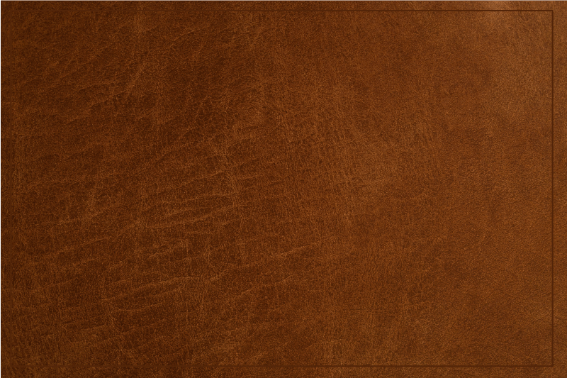 Brown leather effect textured placemats - TenStickers