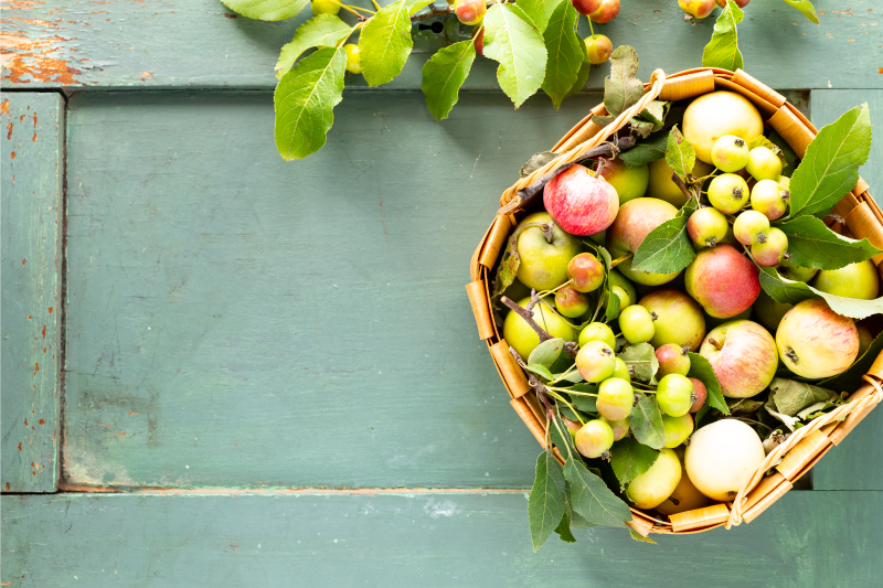 Placemats for home fruit basket arrangement - TenStickers