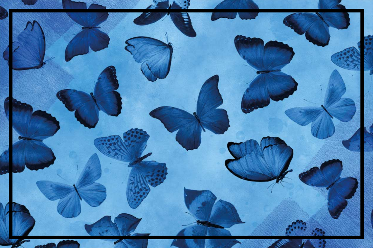 Group of Blue butterfly placemats - TenStickers