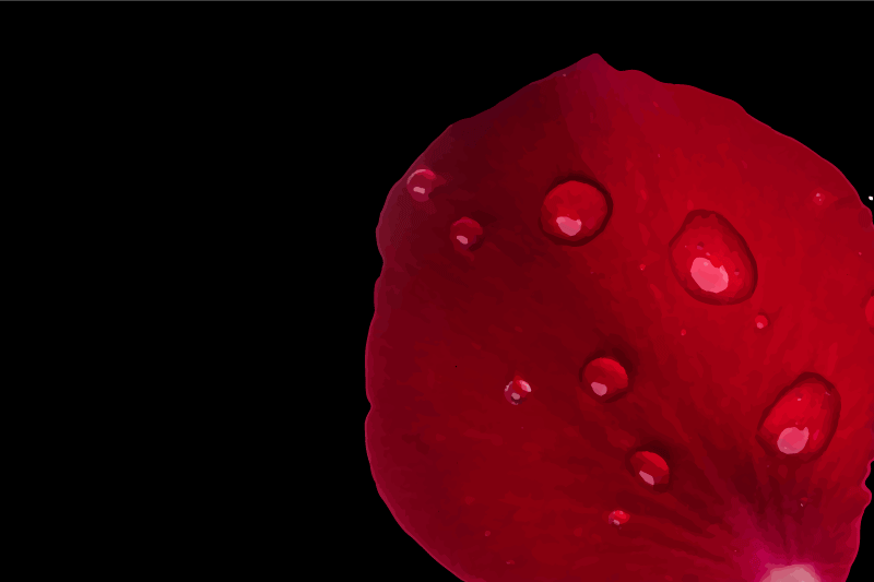 Textured placemats with red petal surface - TenStickers