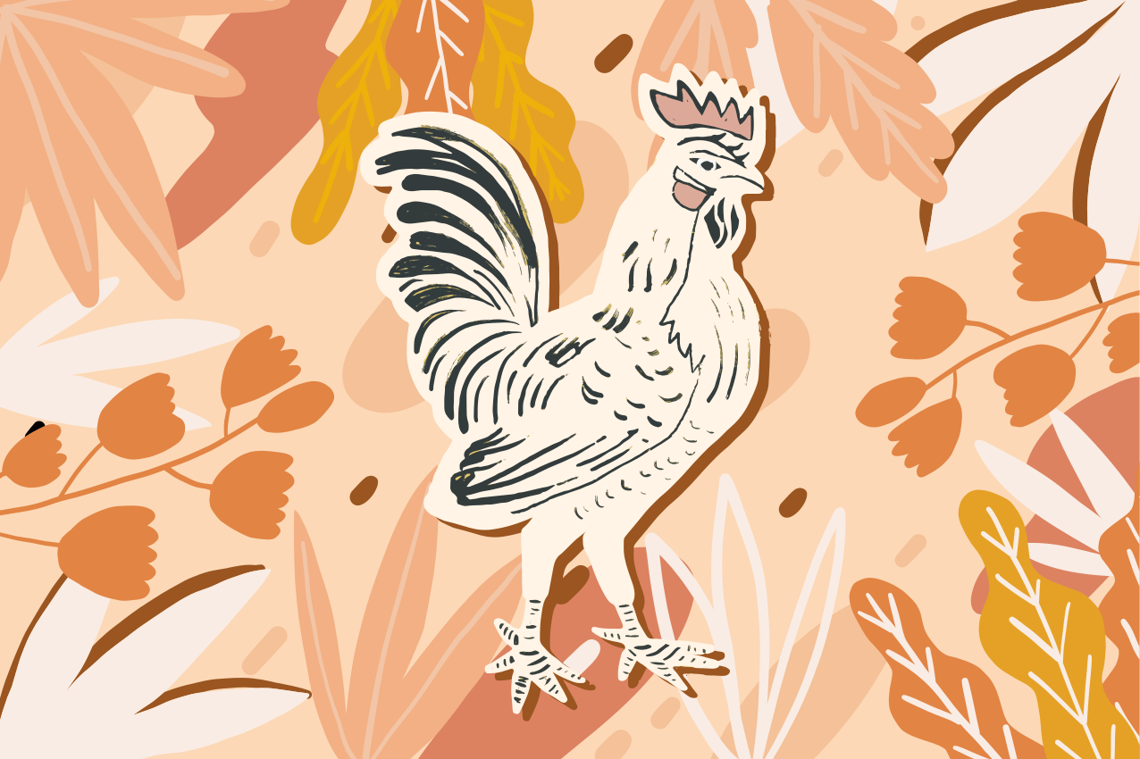 Rooster on orange flowers original placemats - TenStickers