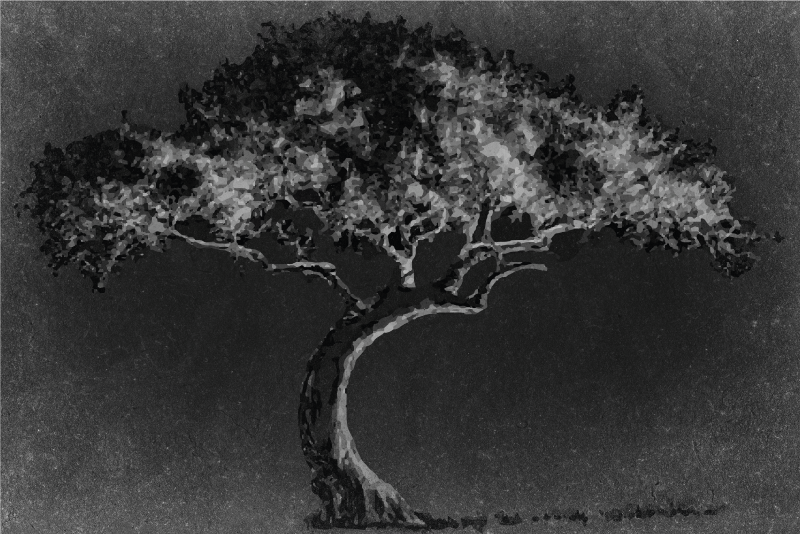 Textured placemats artistic tree silhouette - TenStickers