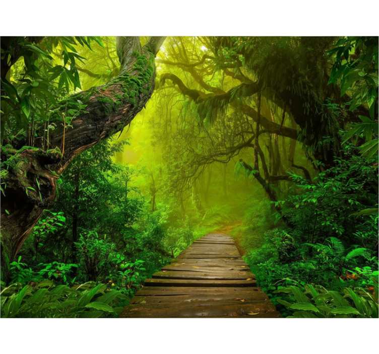Mystic forest path forest wall mural - TenStickers