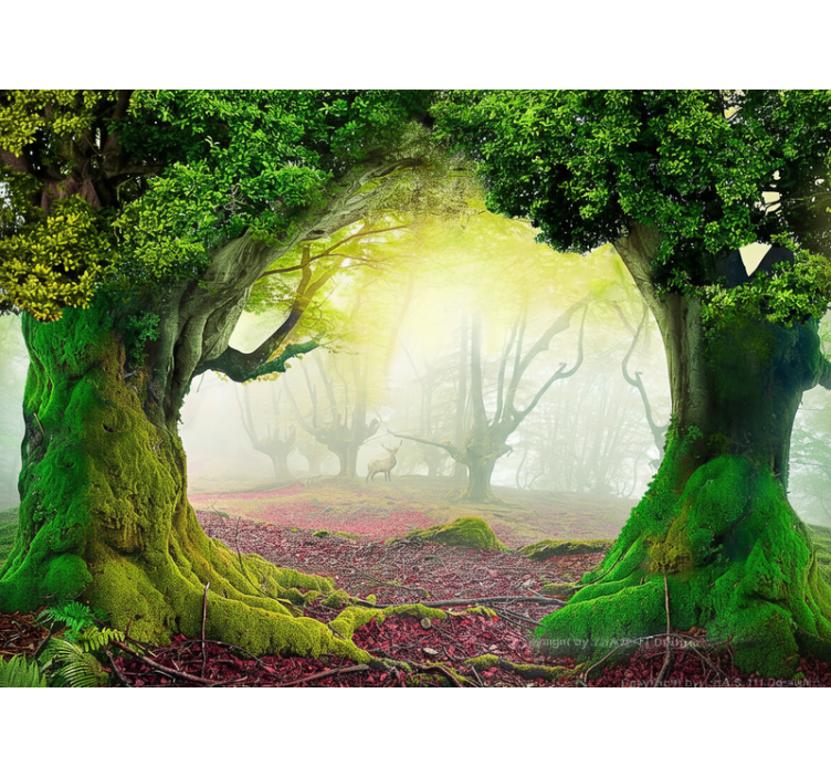 Wall mural nature eternal forest entrance - TenStickers
