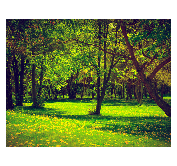 Serene Forest View landscape wall mural - TenStickers