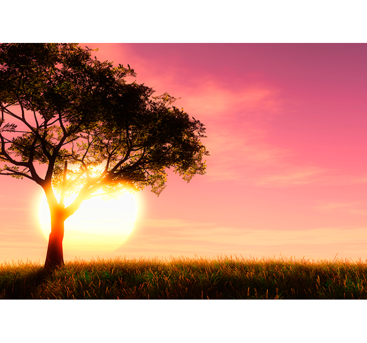 Savannah Sunset Silhouette landscape wall mural - TenStickers