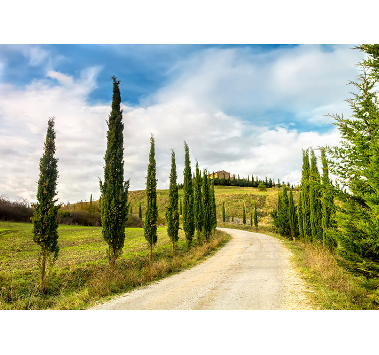 Fotomurale paesaggio colline Toscane wall mural nature - TenStickers