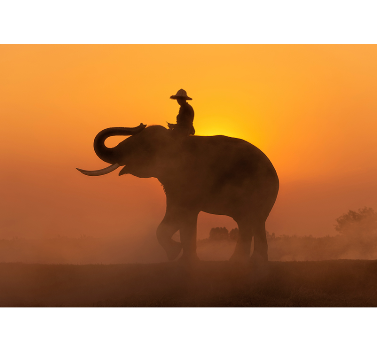 Asian Elephant at sunset wall mural - TenStickers