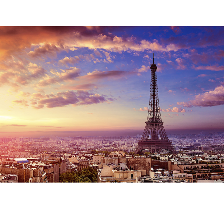 Paris view by air wall mural - TenStickers