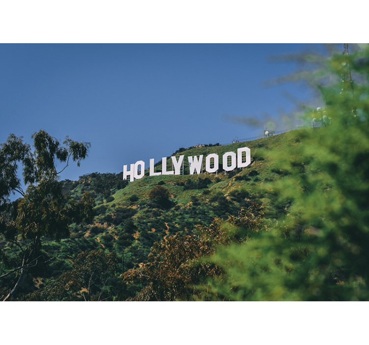 City wall mural hollywood sign landscape - TenStickers