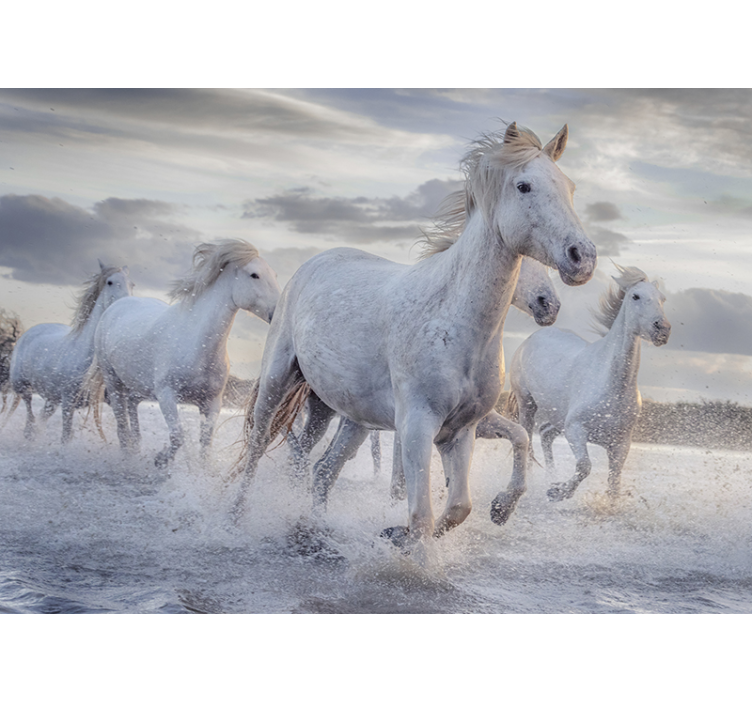 Horses in water wall mural - TenStickers