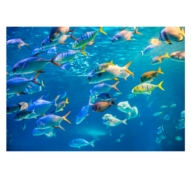 School of sea animal wall mural - TenStickers