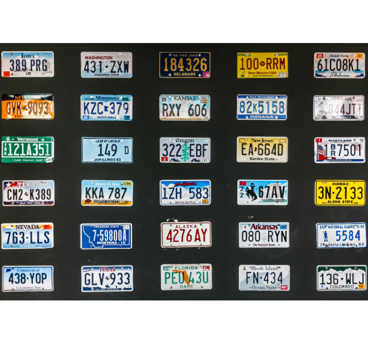 License plates vintage wall mural - TenStickers