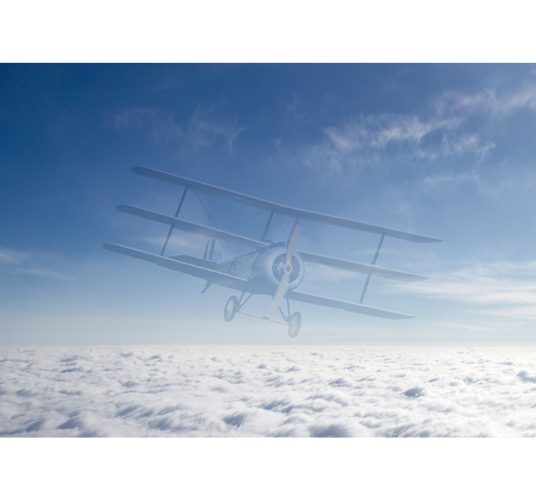Sky with airplane Marriage Wall Murals - TenStickers
