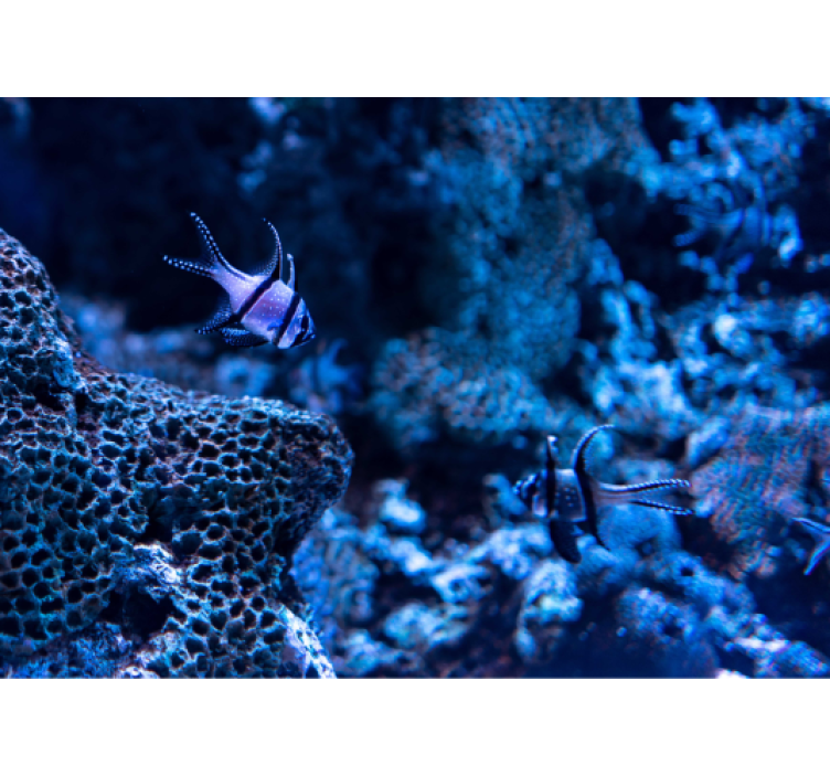 Coral Reef Fish animals wall mural - TenStickers