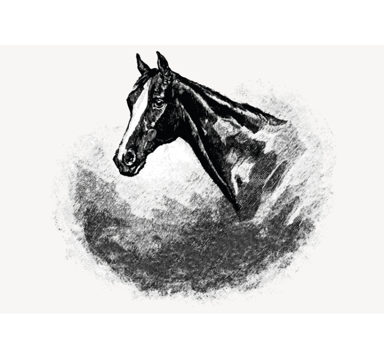Animals wall mural stallion head - TenStickers
