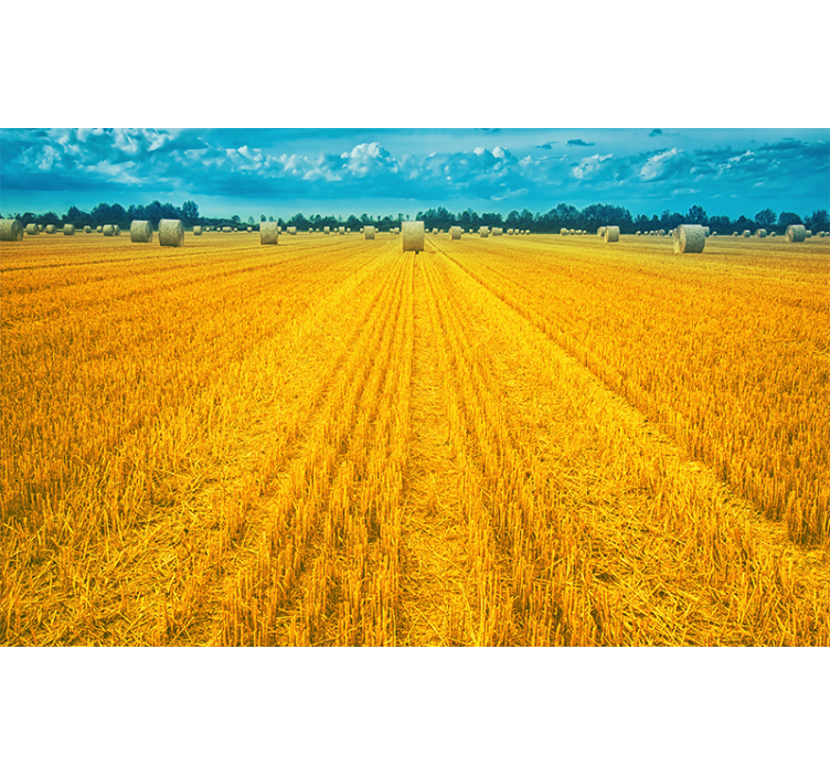 Polish countryside yellow nature wall mural - TenStickers