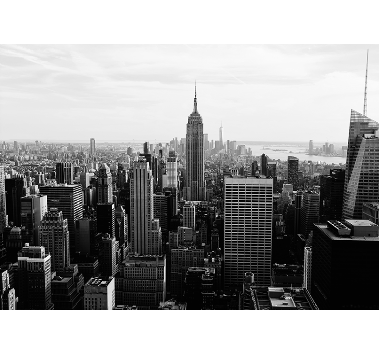 Manhattan from air black and white Wall Mural - TenStickers