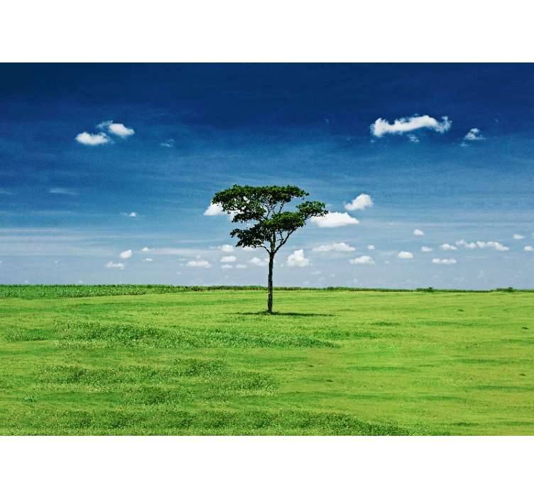 Lone Green Tree wall mural nature - TenStickers