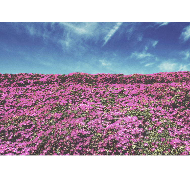 Vibrant Pink Blossoms flower wall mural - TenStickers