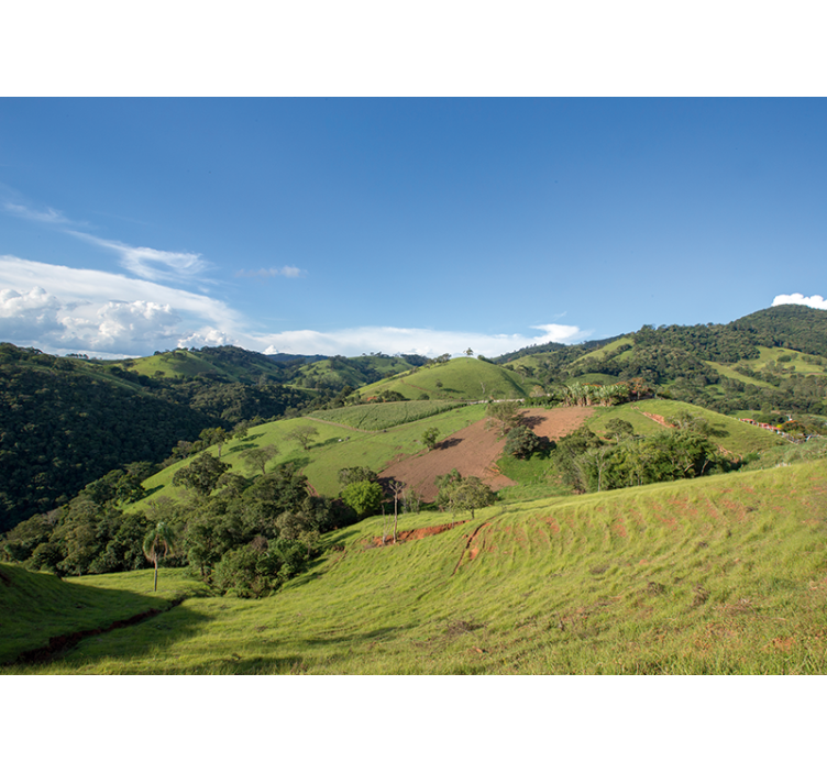 Verdant Rolling Hills landscape wall mural - TenStickers