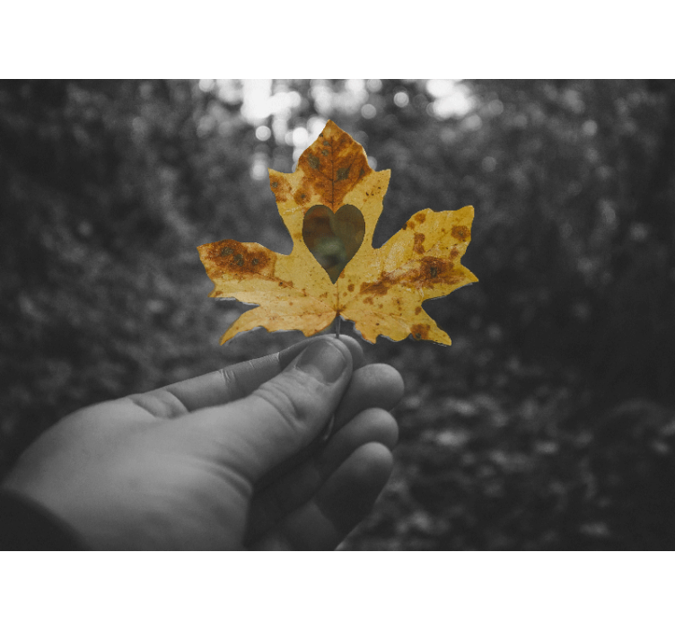 Heart-Shaped Leaf wall mural nature - TenStickers