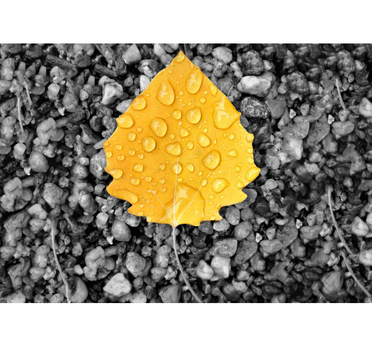 Leaf on shingle wall mural - TenStickers