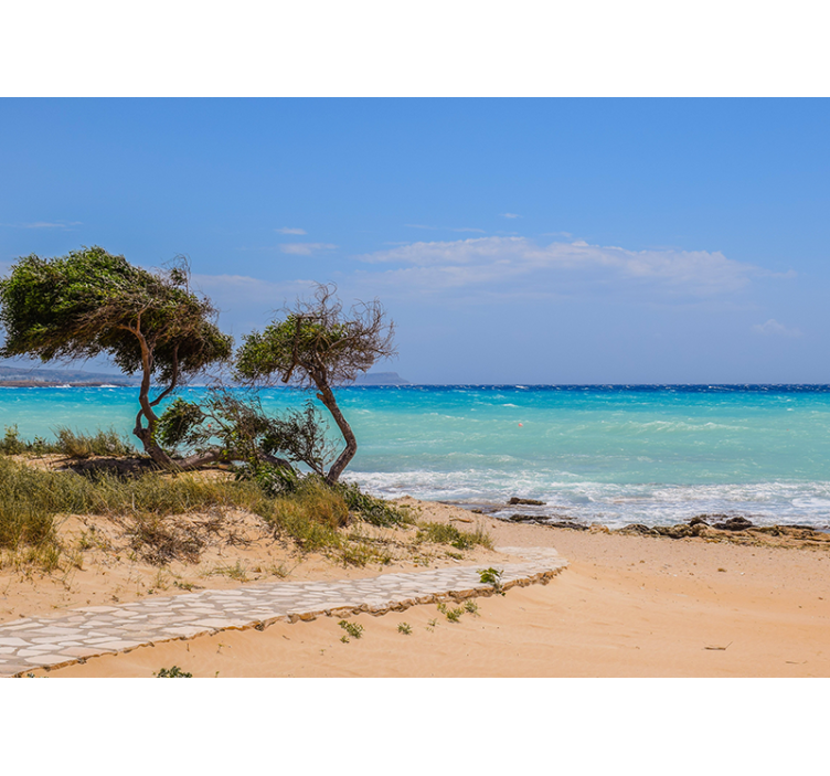 Serene scene path under the sea wall mural - TenStickers