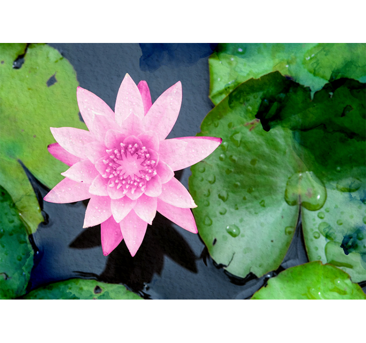 Pink Lotus Flower wall mural - TenStickers