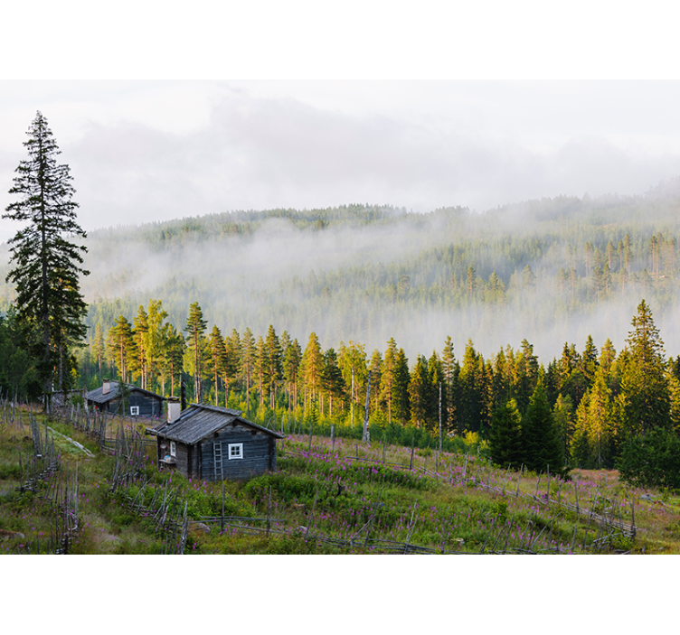 Colorful misty forest  Forest Wall Mural - TenStickers