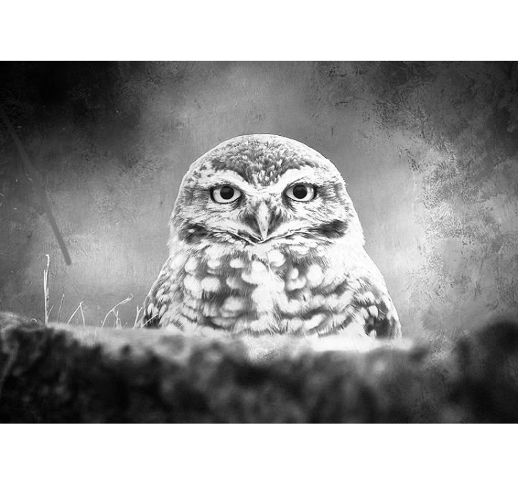 Majestic Owl Portrait animals wall mural - TenStickers