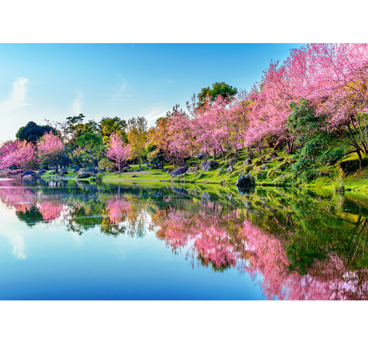 Cherry Blossom Reflections flower wall mural - TenStickers