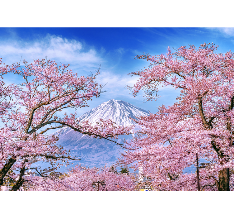 Mountain cherry blossom wall mural - TenStickers