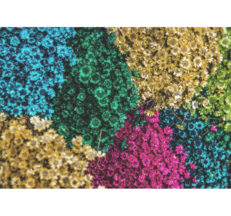 Colorful floral patterns flower wall mural - TenStickers