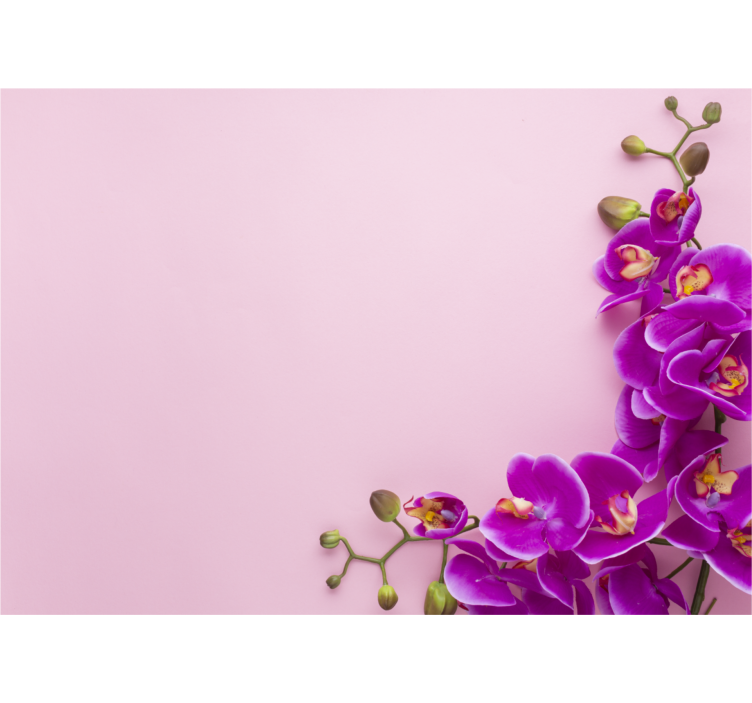 Pink background with Orchid wall mural - TenStickers