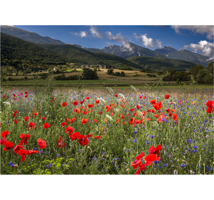 Flower wall mural poppy meadow scene - TenStickers