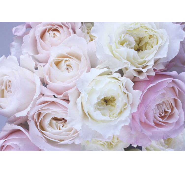 Soft Pink Shades wall mural roses - TenStickers