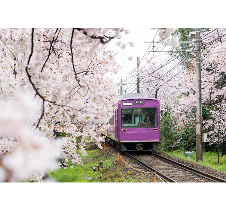 City wall mural cherry blossom train art - TenStickers