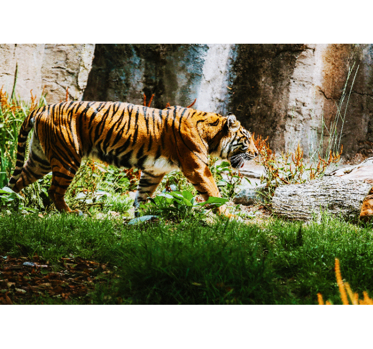 Tiger in the jungle living room wall mural - TenStickers