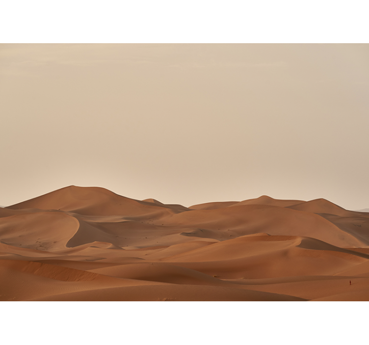 Sandy desert landscape desert wall mural - TenStickers
