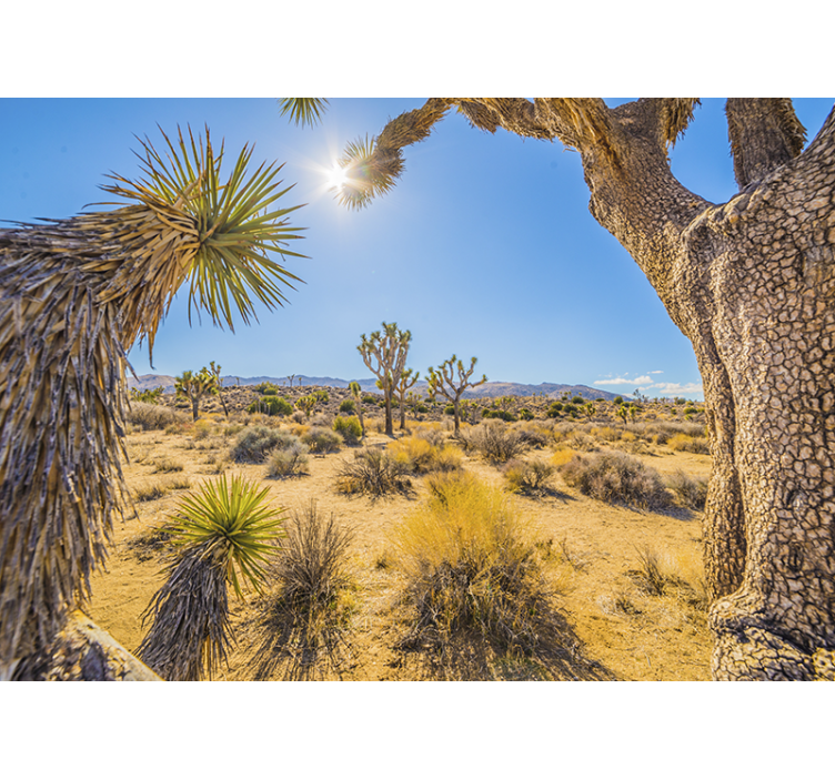 Wall mural mountain desert landscape oasis - TenStickers
