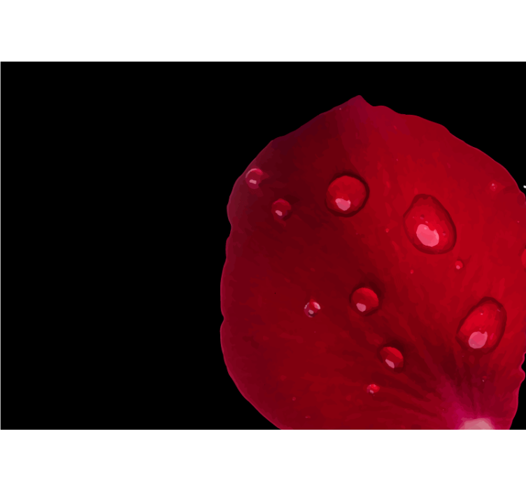 Red rose pattern with water drops wall mural - TenStickers