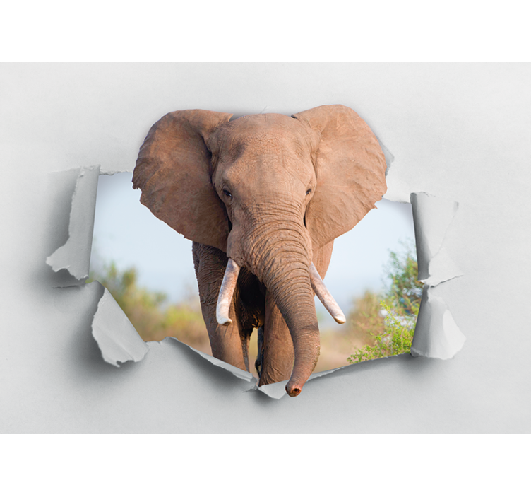 Animals wall mural majestic elephant portrait - TenStickers