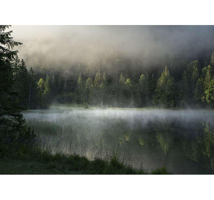 Wall mural nature serene misty lake - TenStickers