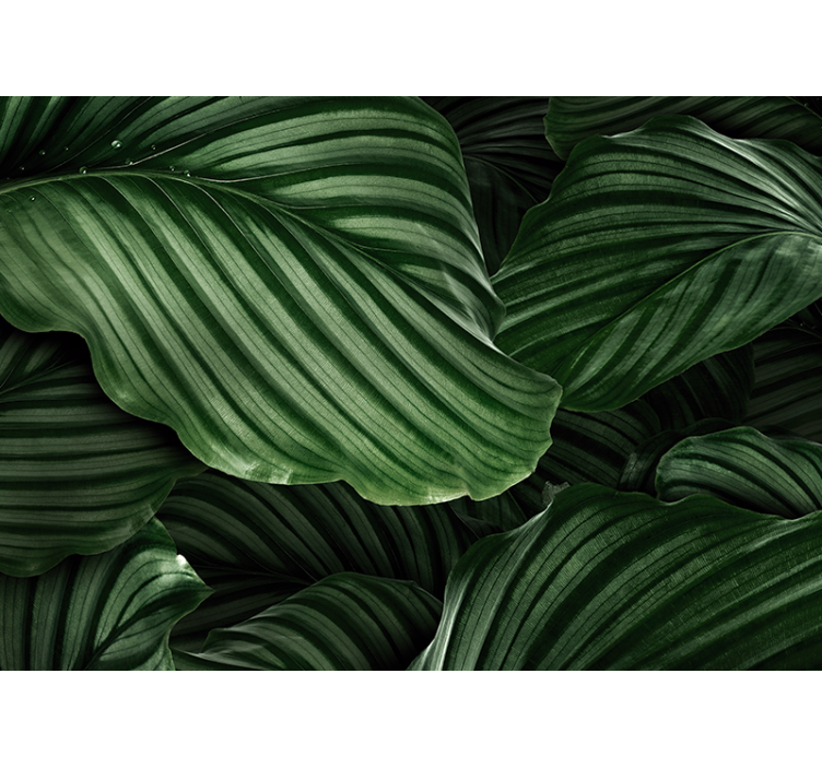 Green leafed plants living room wall mural - TenStickers