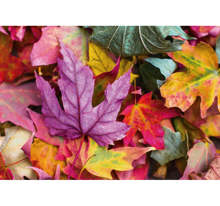 Flower wall mural with vibrant leaf designs - TenStickers