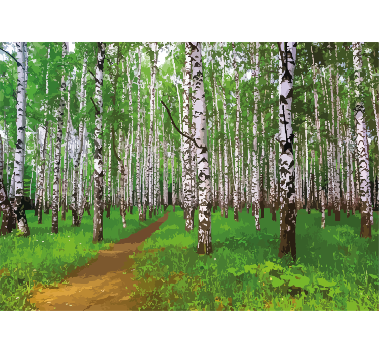 Wall mural nature birch forest trail - TenStickers