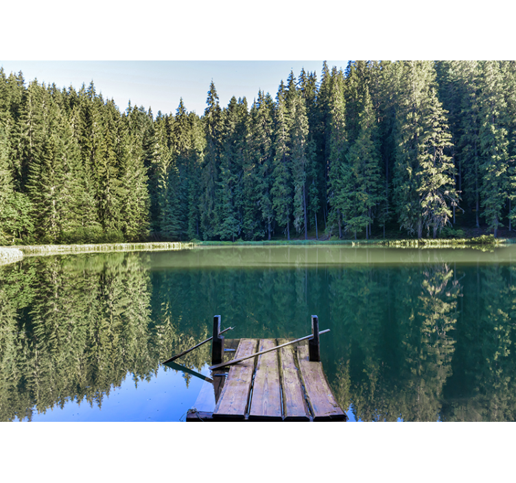 Wall mural nature serene woodland reflection - TenStickers